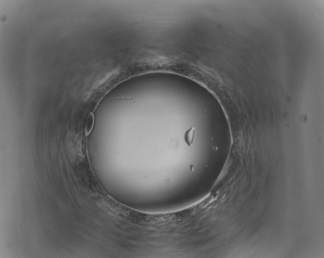 X0000072501205200607211241