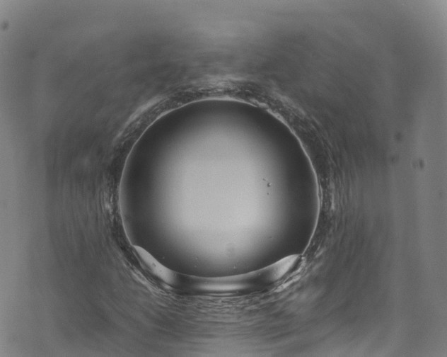 X0000072501206200607211241