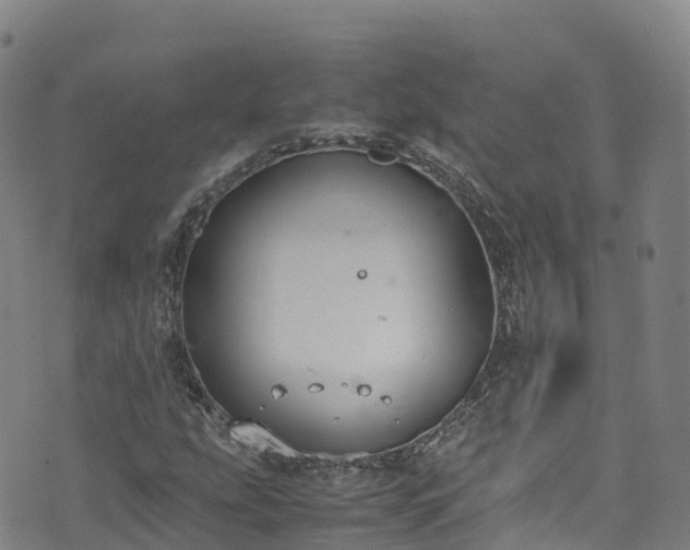 X0000072501207200607211241