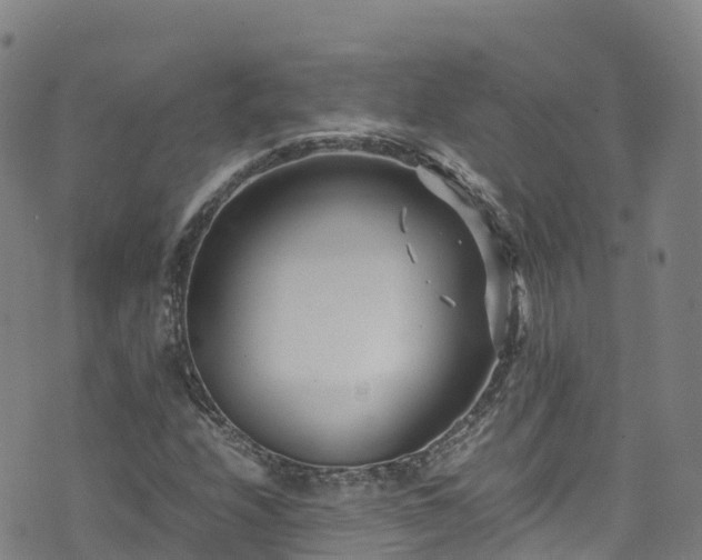 X0000072501208200607211241