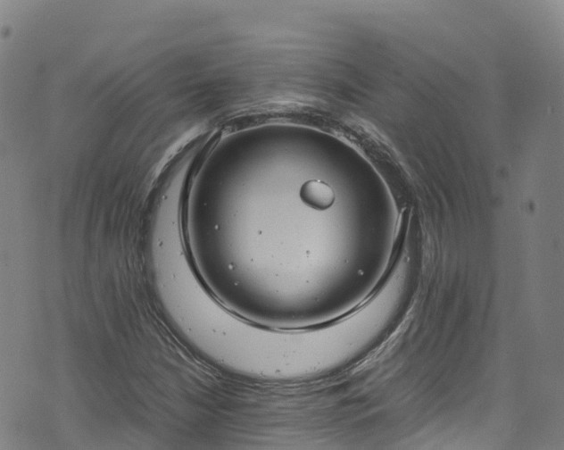 X0000072501210200607211241