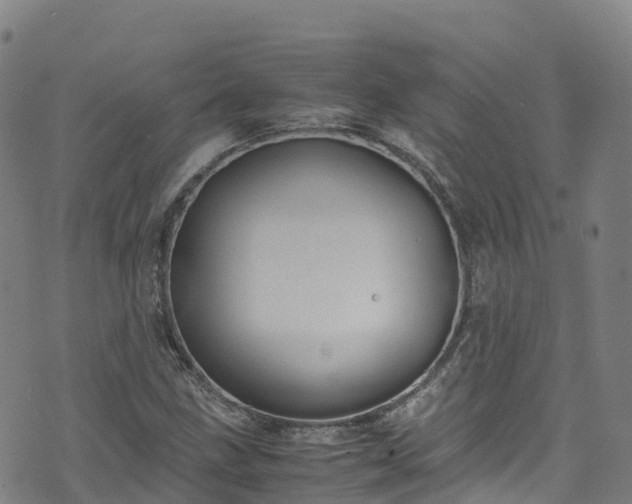 X0000072501211200607211241