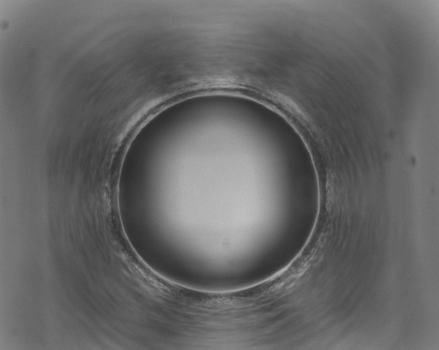 X0000072501212200607211241