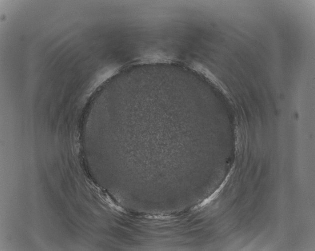 X0000072501213200607211241