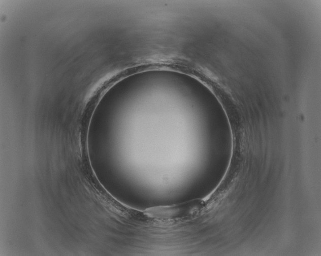 X0000072501214200607211241