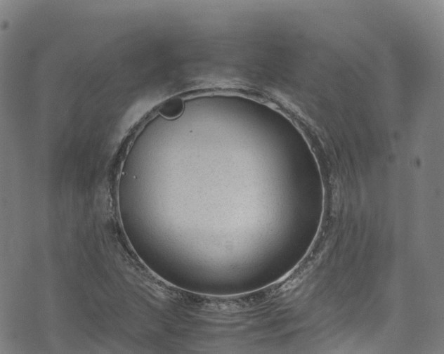 X0000072501215200607211241