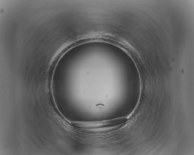 X0000072501216200607211241