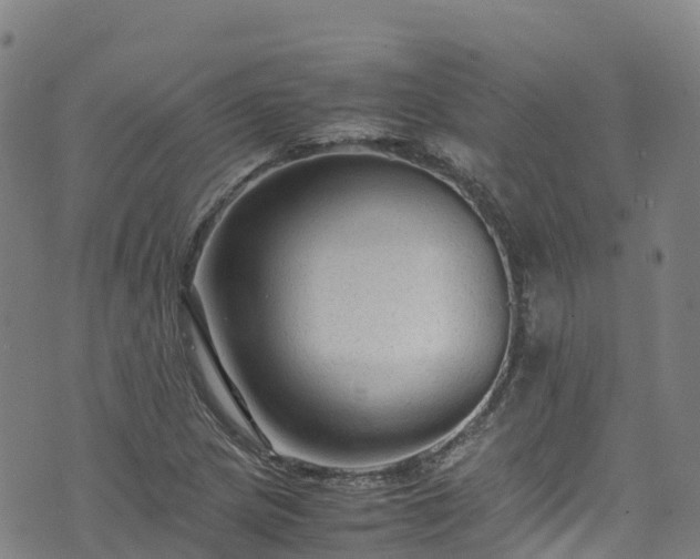 X0000072501217200607211241