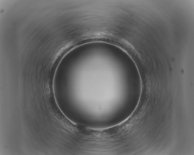 X0000072501218200607211241