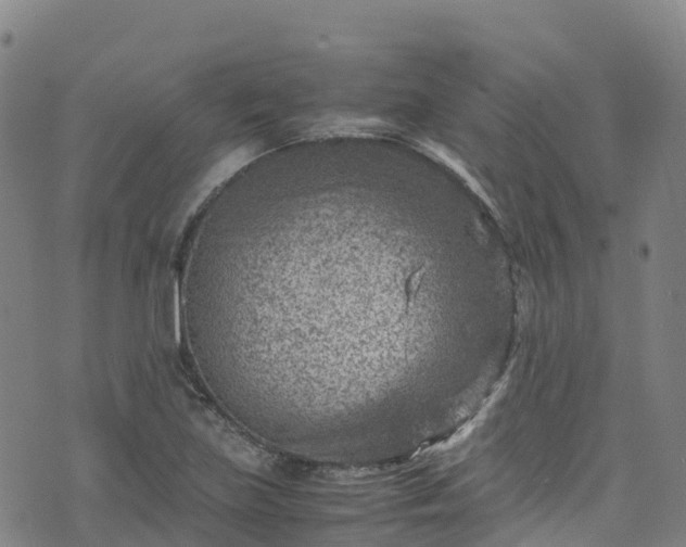 X0000072501219200607211241