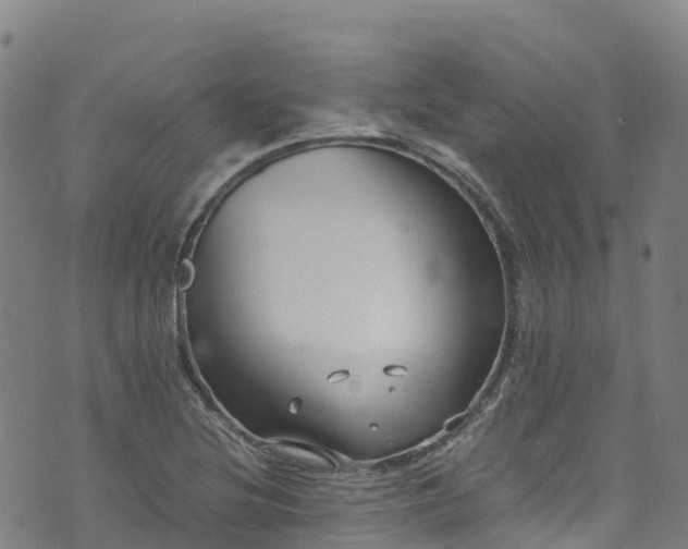 X0000072501220200607211241