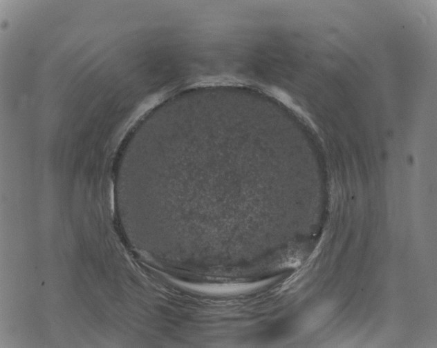 X0000072501221200607211241