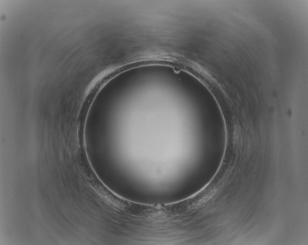 X0000072501222200607211241