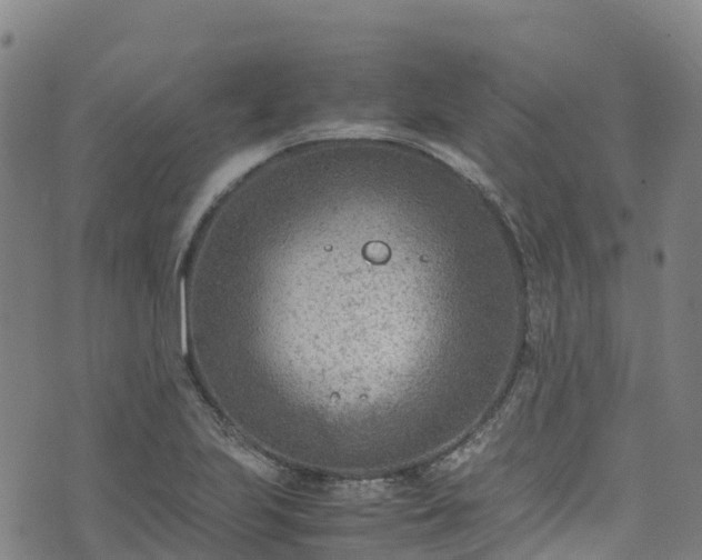 X0000072501223200607211241