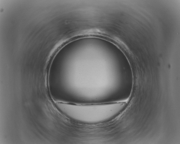 X0000072501224200607211241