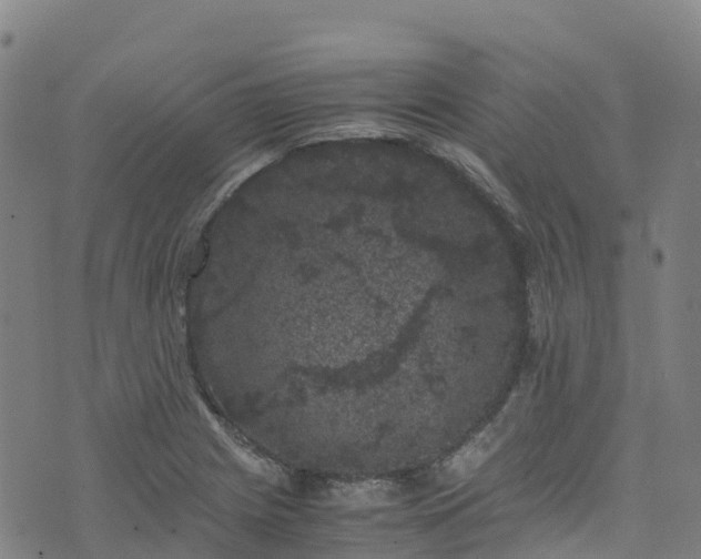 X0000072501225200607211241