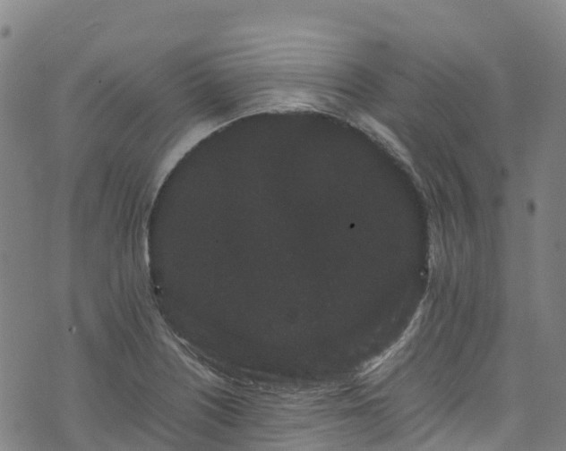 X0000072501226200607211241