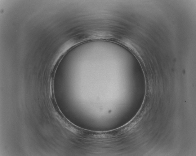 X0000072501227200607211241