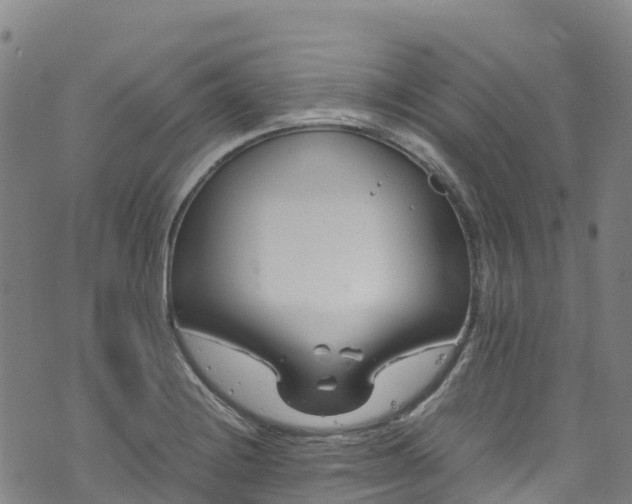 X0000072501228200607211241