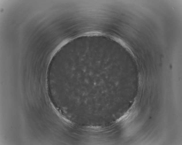 X0000072501229200607211241