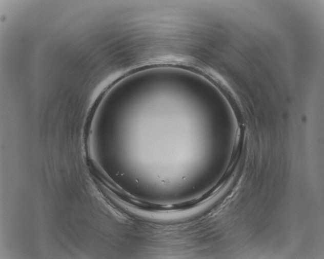 X0000072501230200607211241