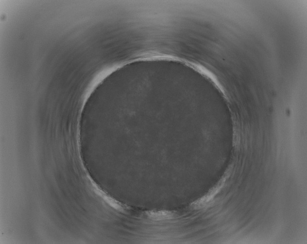 X0000072501231200607211241