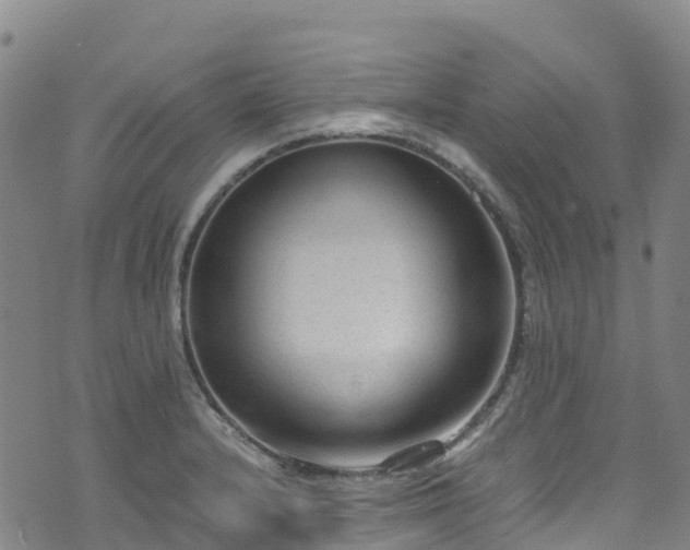 X0000072501232200607211241