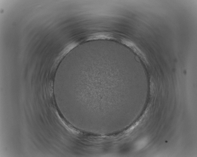 X0000072501233200607211241