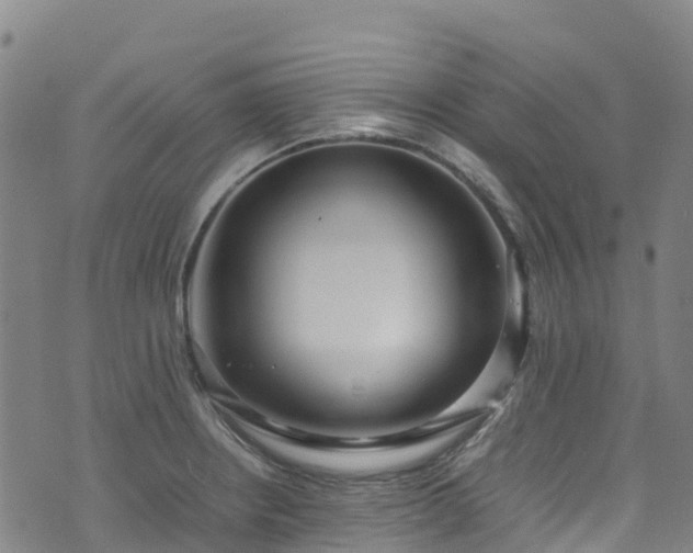 X0000072501234200607211241