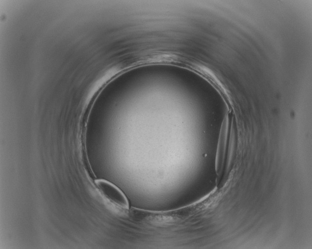 X0000072501235200607211241