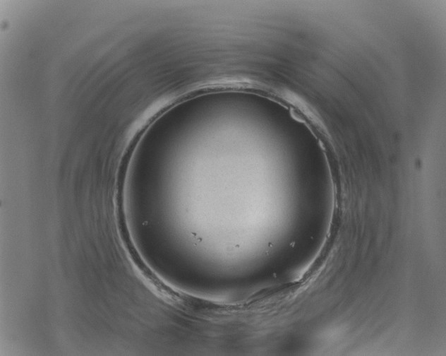 X0000072501237200607211241