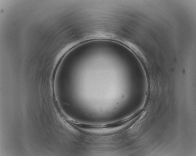 X0000072501238200607211241