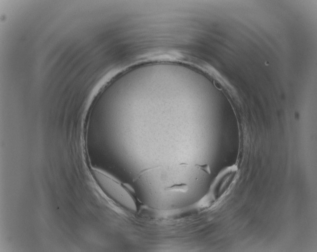 X0000072501240200607211241