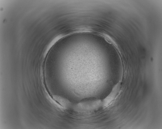 X0000072501243200607211241