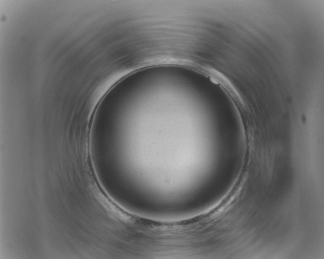 X0000072501244200607211241