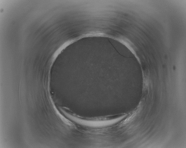 X0000072501245200607211241