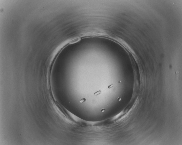 X0000072501246200607211241