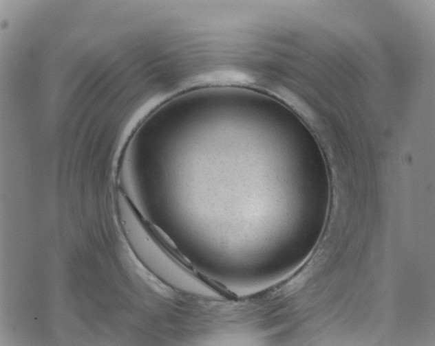 X0000072501248200607211241