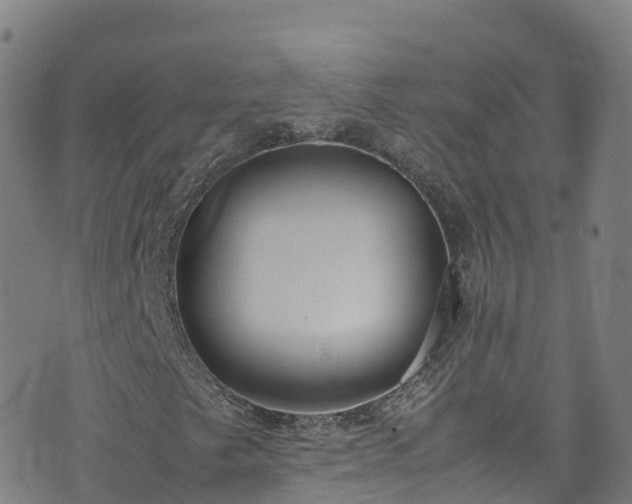 X0000072501249200607211240