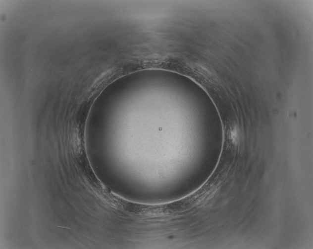 X0000072501252200607211240