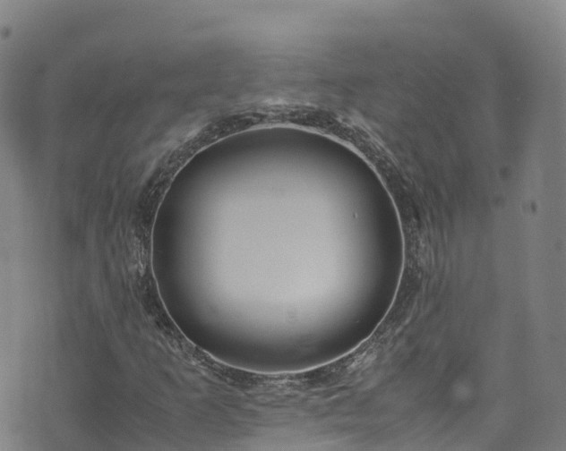 X0000072501253200607211240