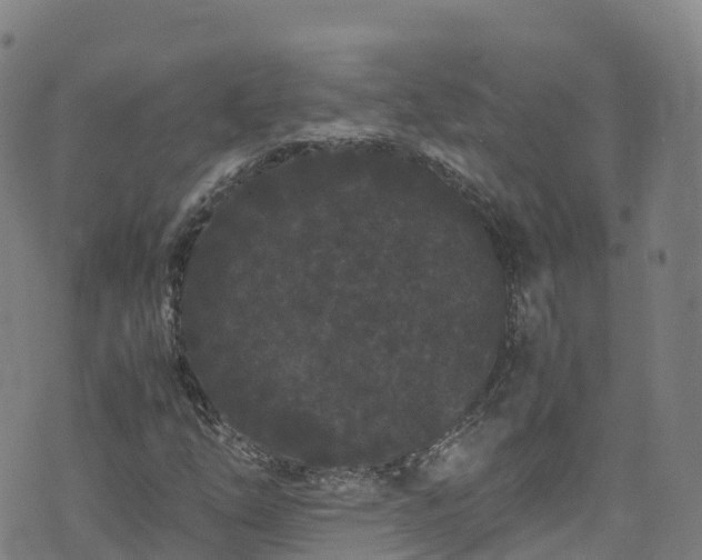 X0000072501254200607211240