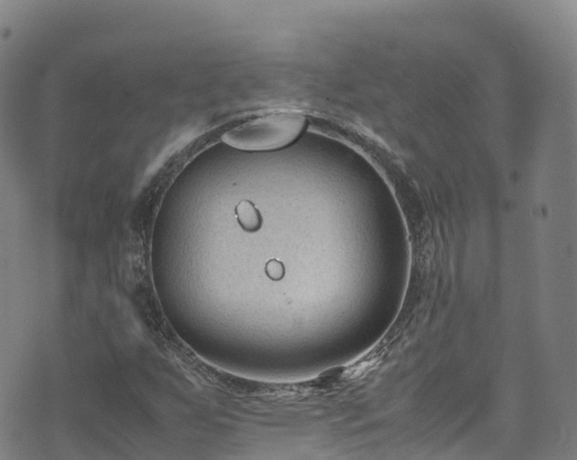 X0000072501255200607211240