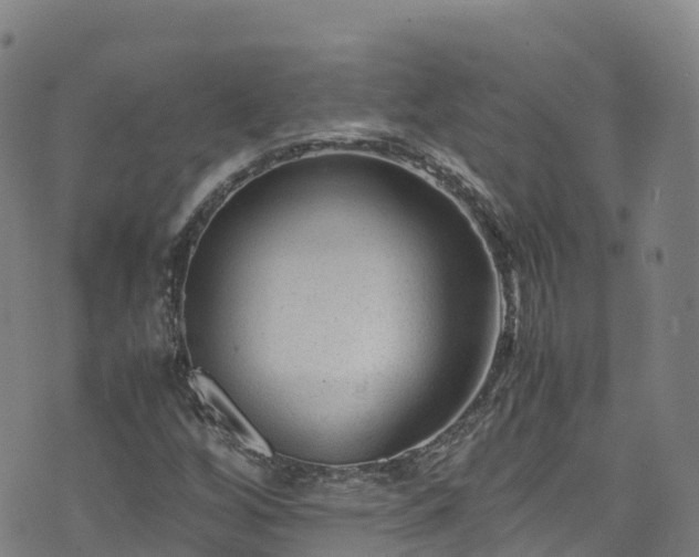 X0000072501256200607211240