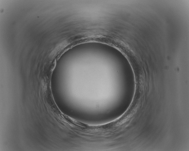 X0000072501257200607211240