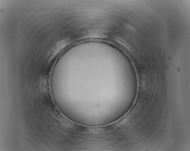 X0000072501258200607211240