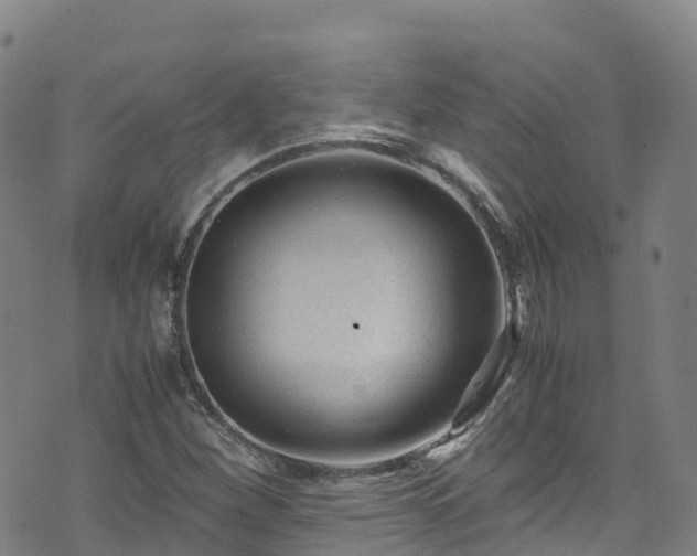 X0000072501260200607211240