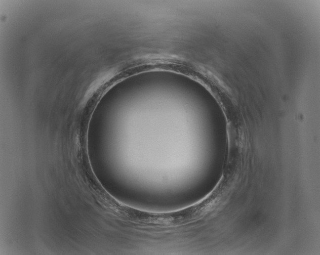 X0000072501261200607211240