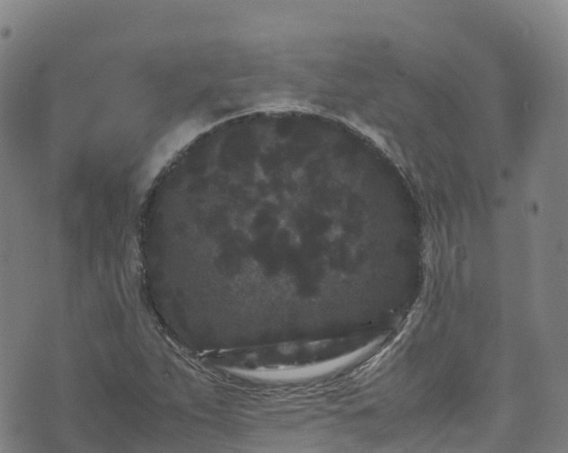 X0000072501263200607211240