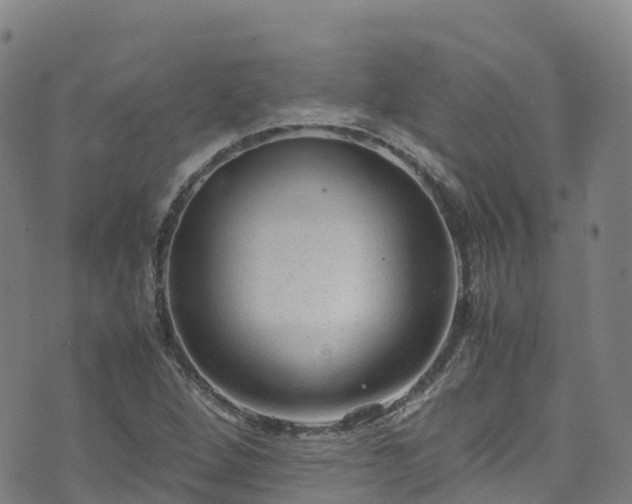 X0000072501264200607211240